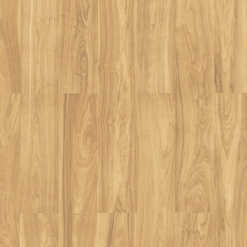 Parchet SPC Classen, 5,5 mm, Nuva Selected Nuc Maro, cu folie aplicată