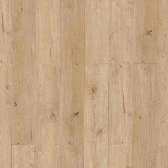 Parchet laminat Classen, 10 mm,Forza 4V Cassino Stejar, rezistent la apa