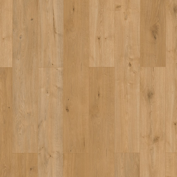 Parchet laminat Classen, 10 mm, Forza Stejar Borgo, rezistent la apa
