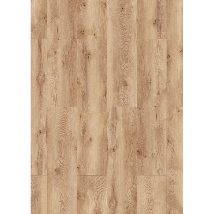 Parchet laminat Classen, 10 mm, Arteo 10 XL Stejar Fiordland, rezistent la apa