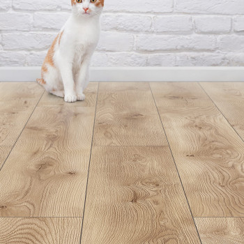 Parchet laminat Classen, 10 mm, Arteo 10 XL Stejar Fiordland, rezistent la apa