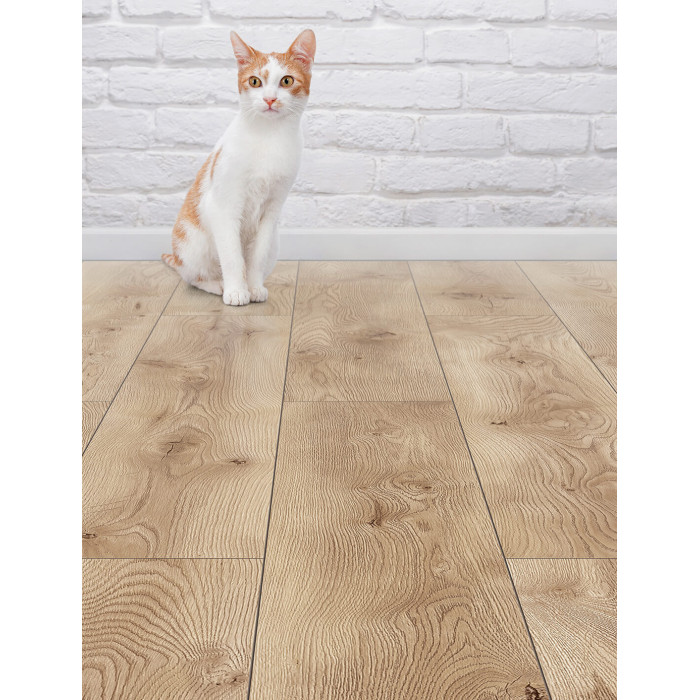 Parchet laminat Classen, 10 mm, Arteo 10 XL Stejar Fiordland, rezistent la apa
